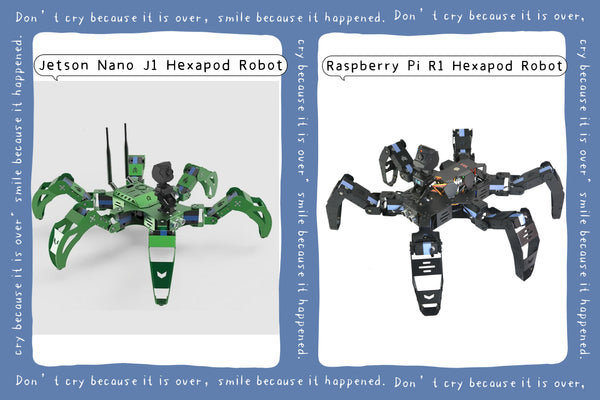 Raspberry Pi Bionic Hexapod and Jetson Nano Hexapod: Technical Differences and Application Considerations